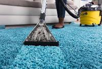 Fresh carpet cleaning image 13